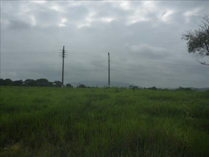 Terreno à Venda