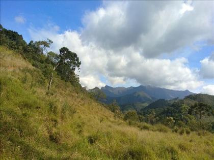 Terreno à Venda