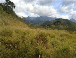 Terreno à Venda